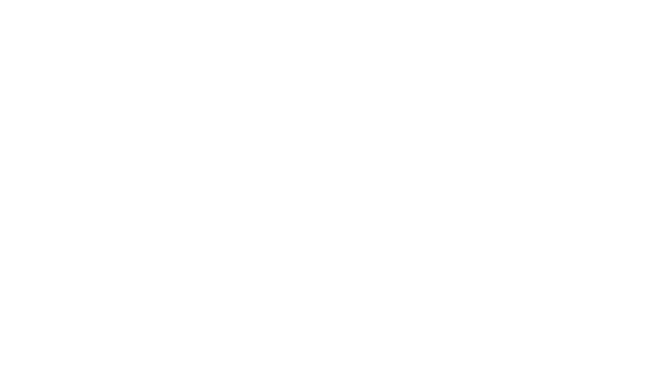 VISION Logo