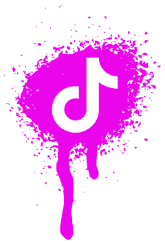06 TikTok