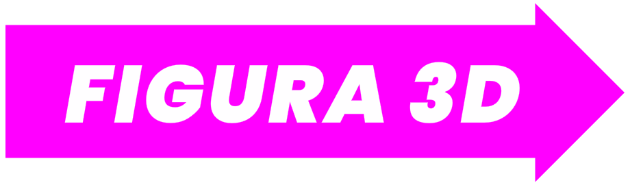 10 FLECHA Figura