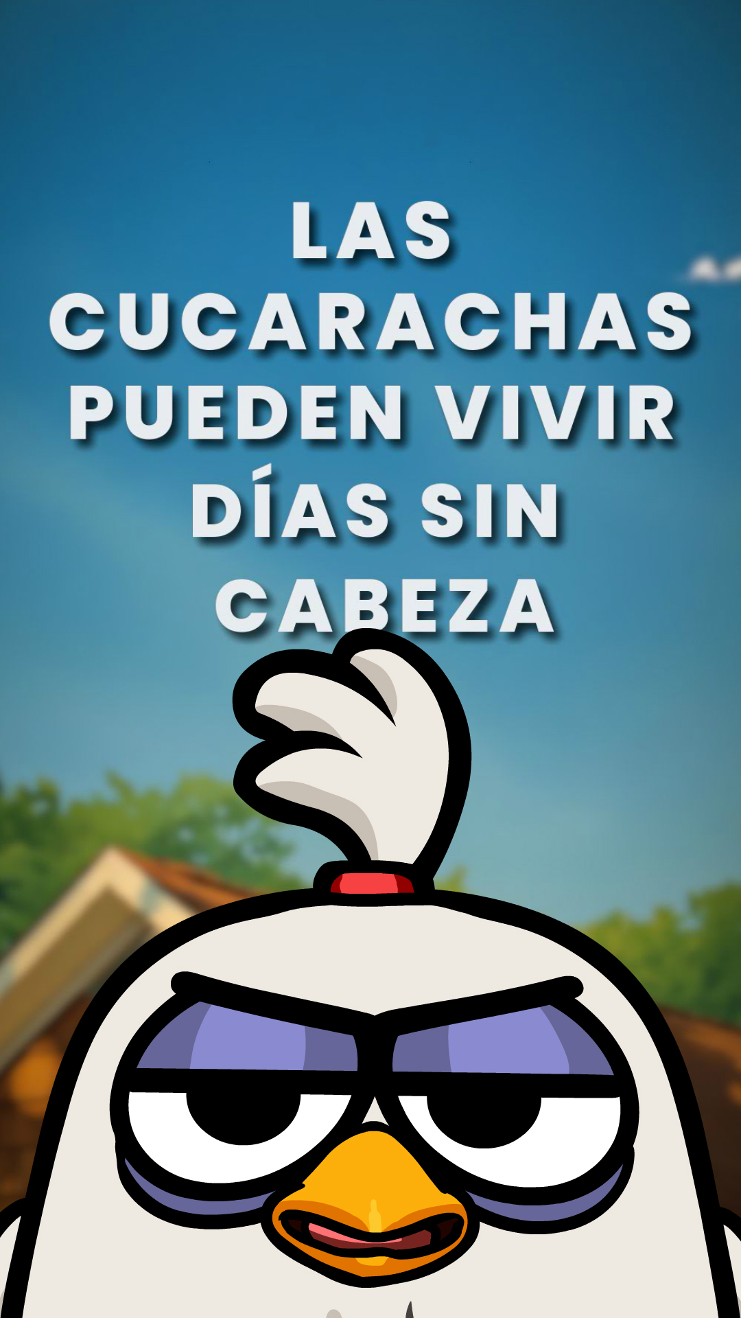 08 PMD CUCARACHAS