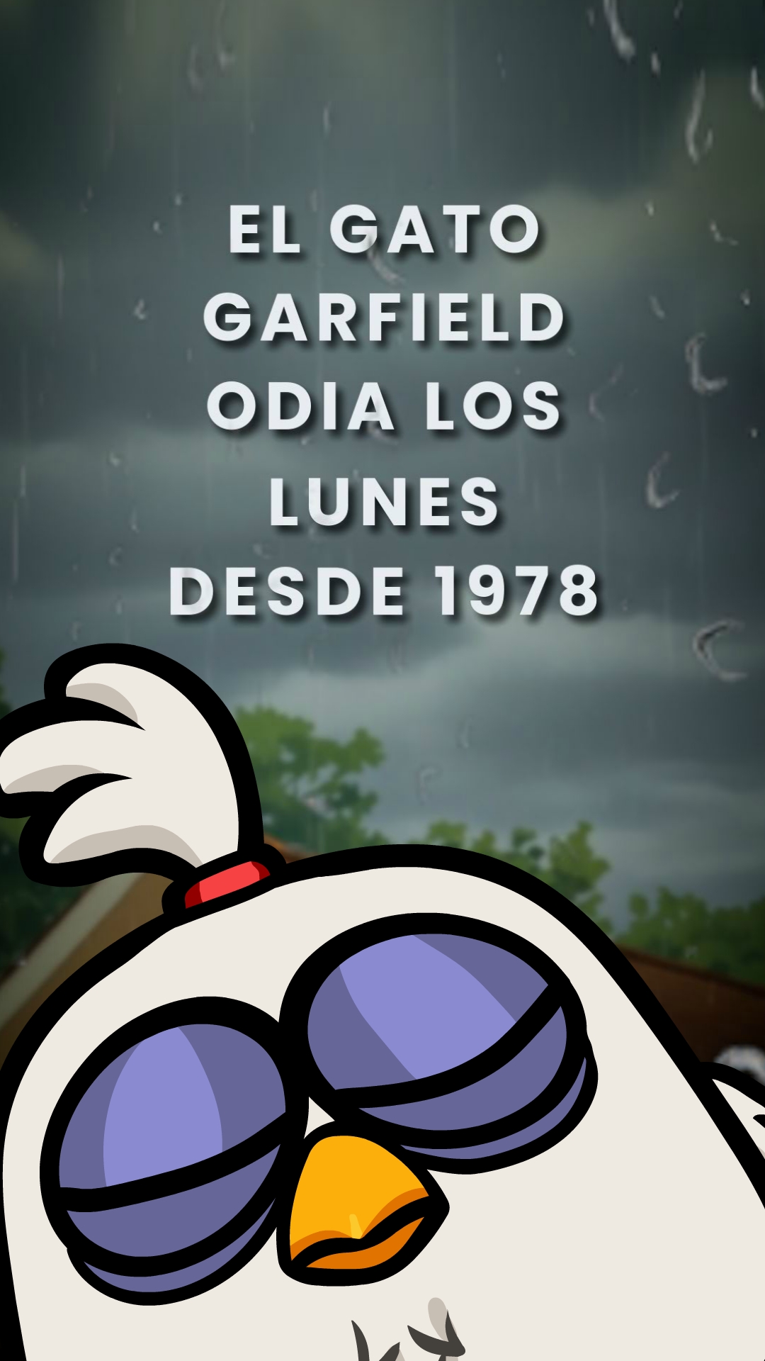 21 PMD GARFIELD